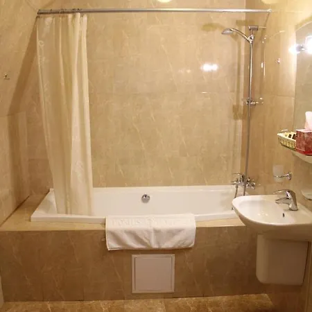 Hotel Domus Hotel-1 Kyiv
